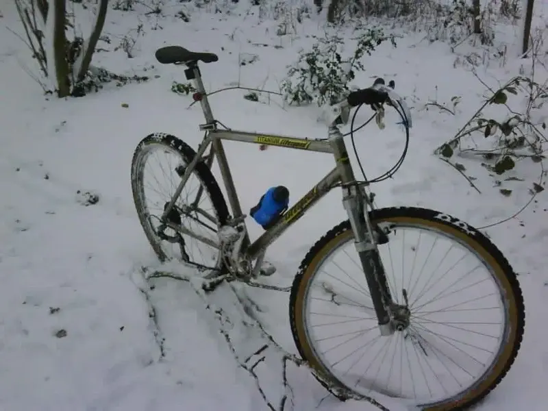 IMG00022-20101220-1436.webp