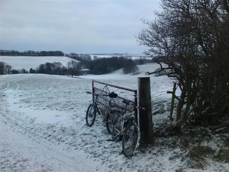 Wolds 19.12.10 (3) (Medium).webp