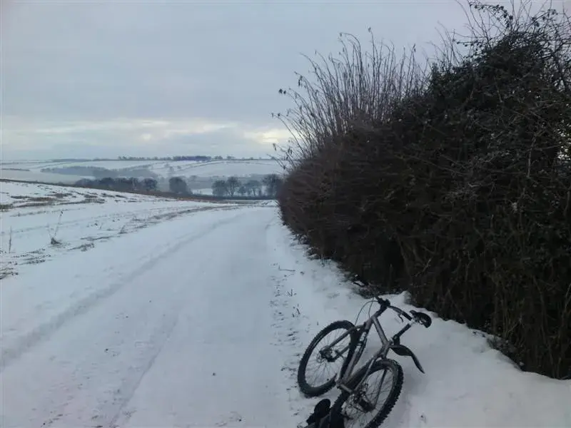 Wolds 19.12.10 (11) (Medium).webp