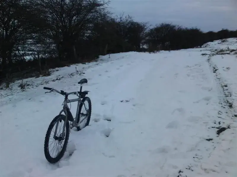 Wolds 19.12.10 (2) (Medium).webp