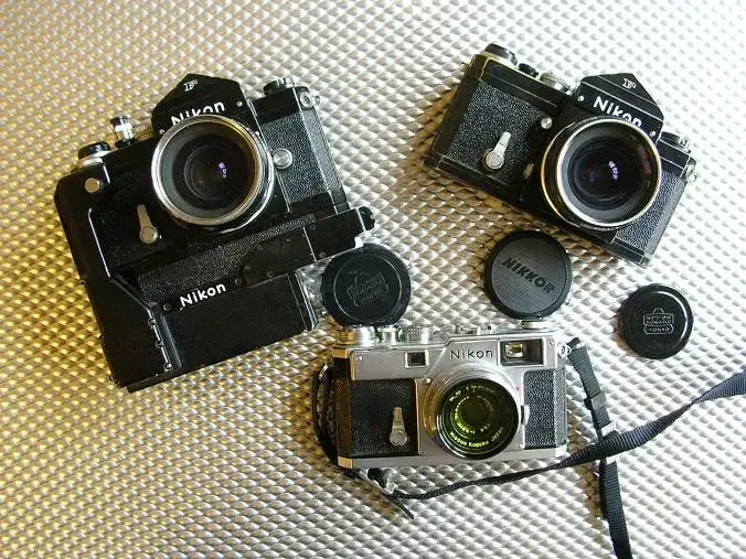 S3 & Fs.webp