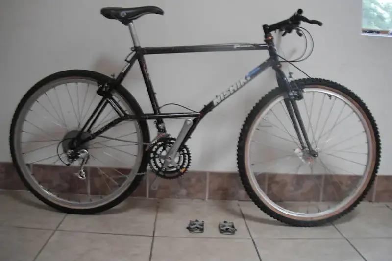 nishiki_pinnacle1.webp