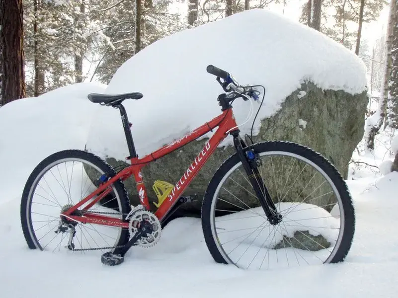 stumpjumper-2.webp