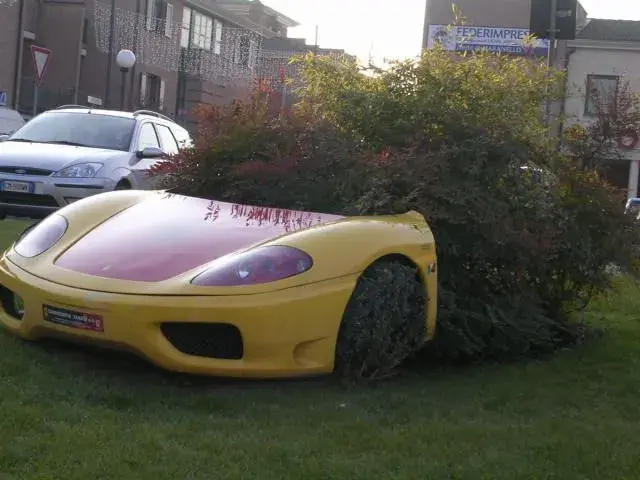 ferrari bush.webp