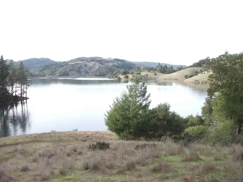 DSCF0055-1.webp