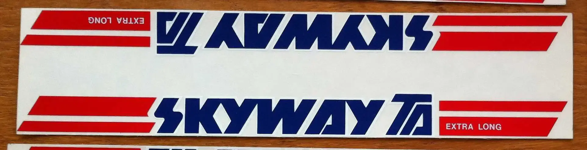 skyway single.webp