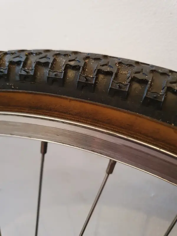 rim1.webp
