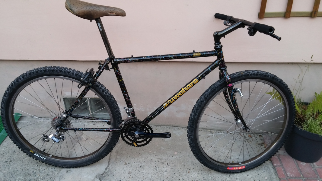 20190609_195750_Easy-Resize.com.webp