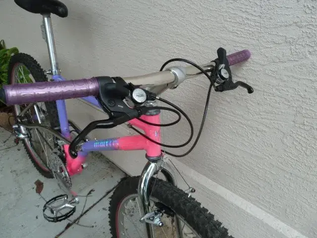 Mantis XCR 002x.JPG