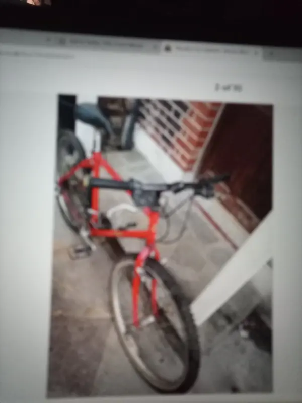 17252173579284603435367172442469.webp