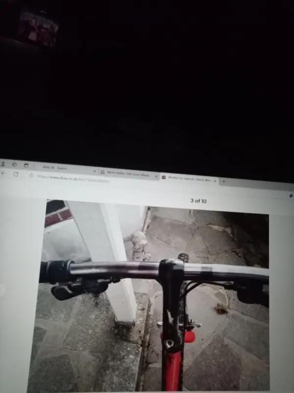 17252174041044152508912290353344.webp