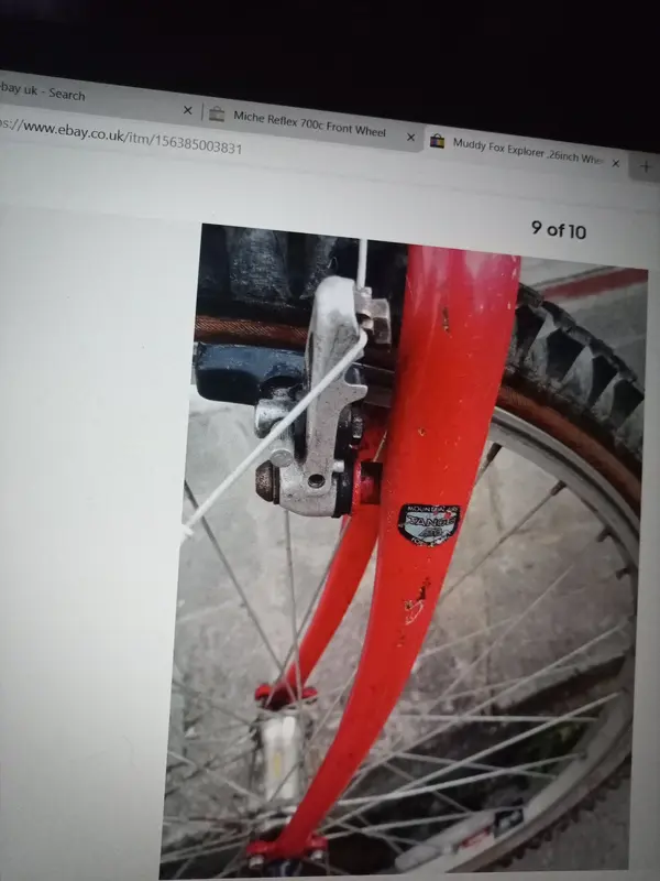 17252175782375270650202727309061.webp