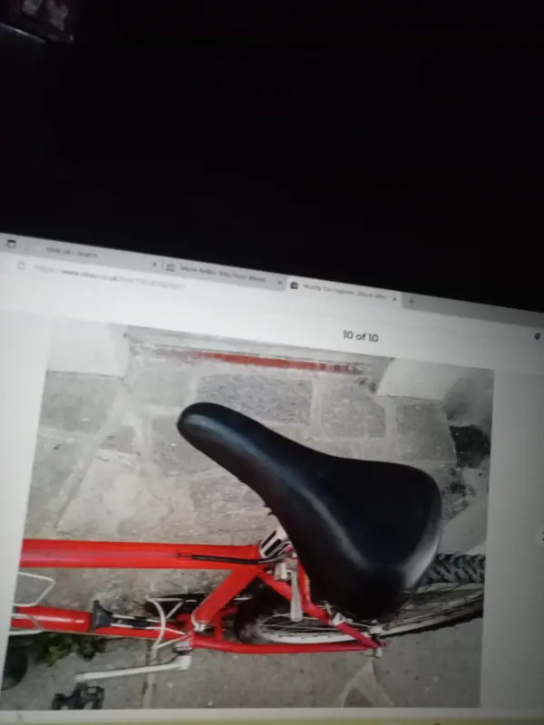 17252175942478499404199255829690.webp
