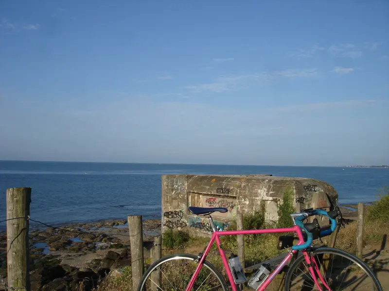 DSC01254.webp