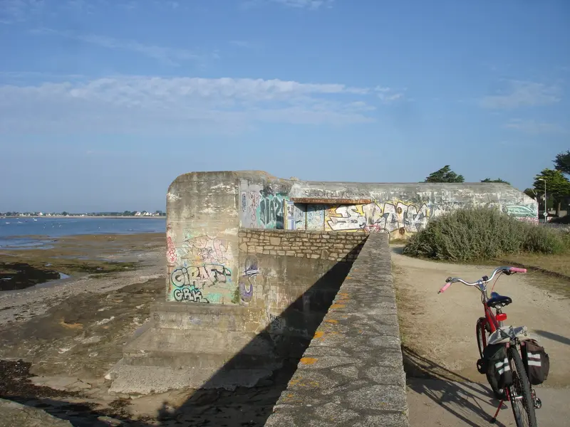 DSC01256.webp