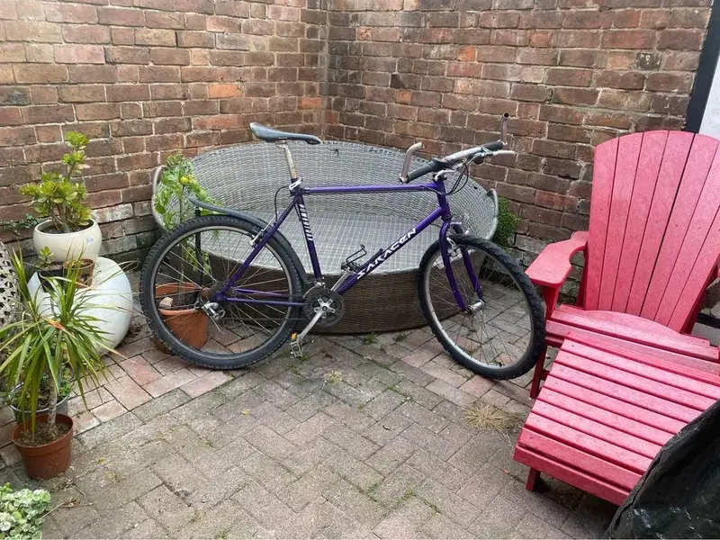 bike.webp