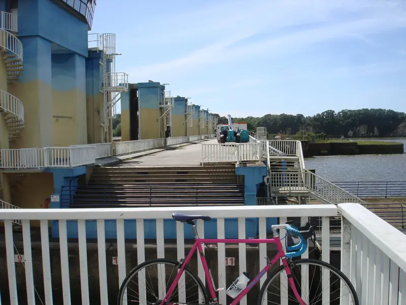 DSC01268.webp