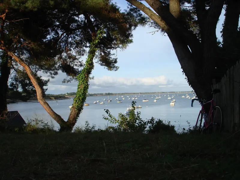 DSC01267.JPG