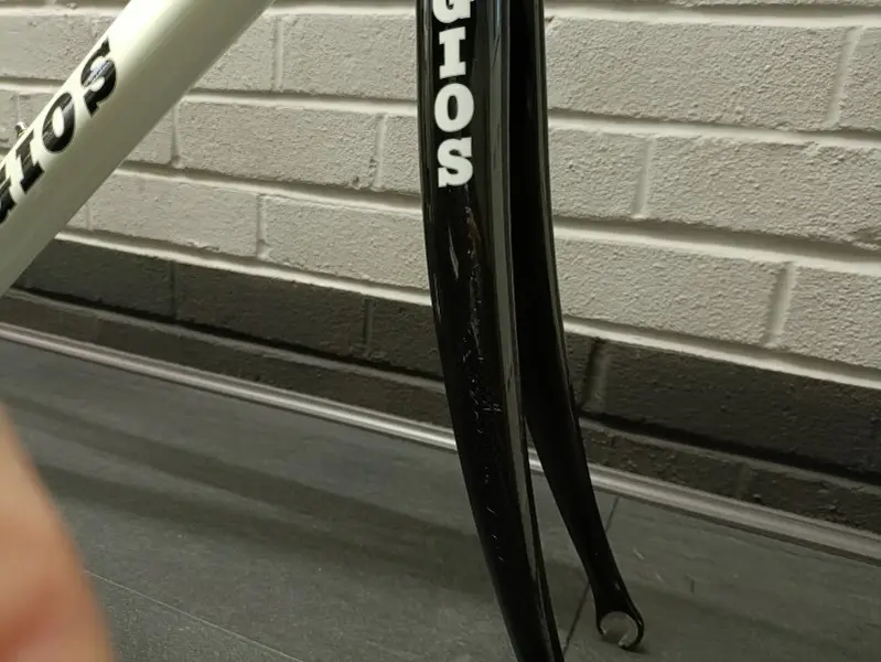 gios4.jpg