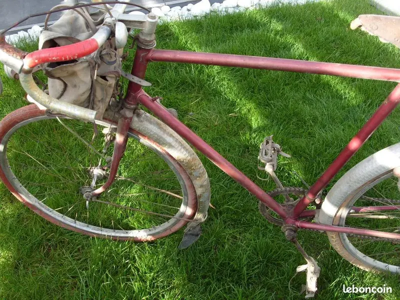 unknown50s 1.webp