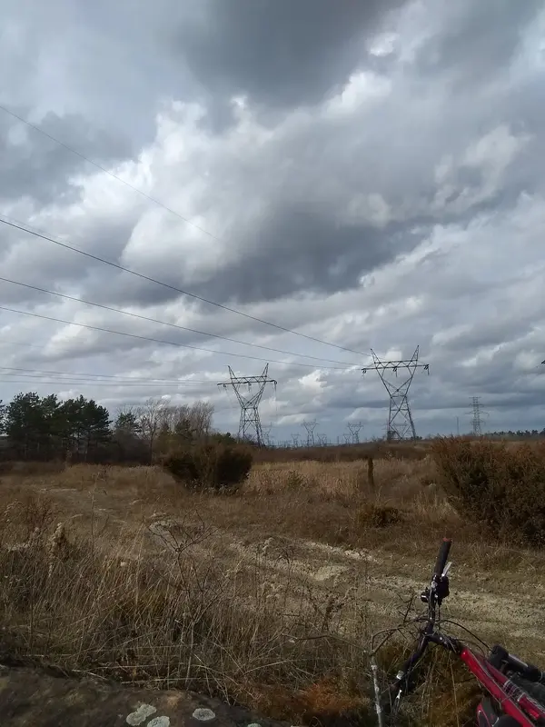 216126-IMG-20221105-143641256.webp