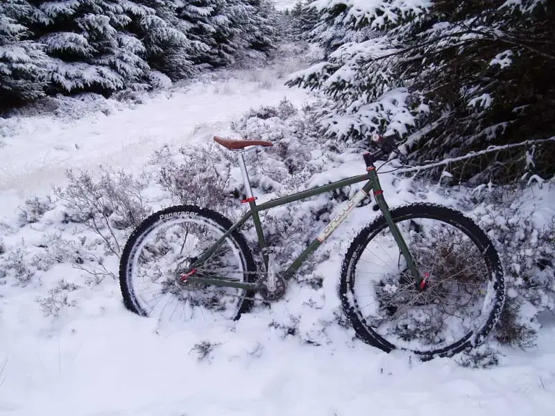 Snow---Tholt-y-Will.webp