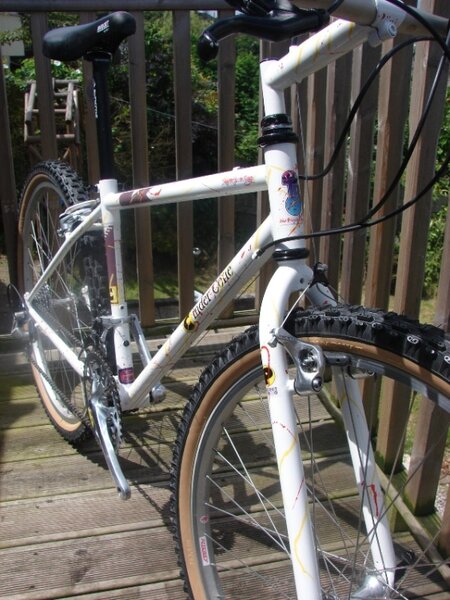 the first mountain bike i ever competed on..total refinished.JPG