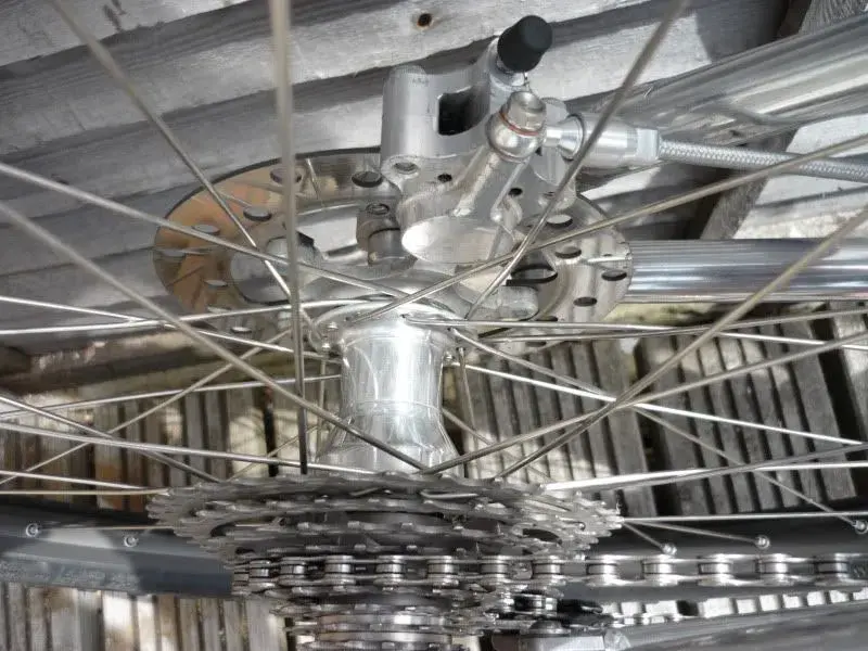 Hope-bulb-rear.webp