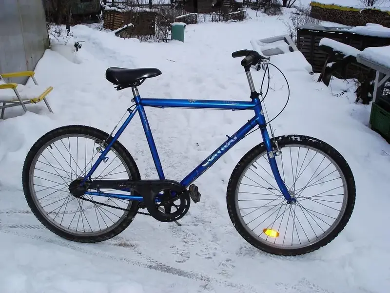 K1024_winter 049.webp