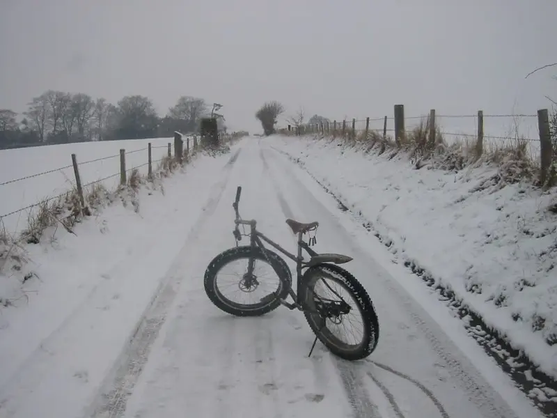Pugsley in the snow.webp