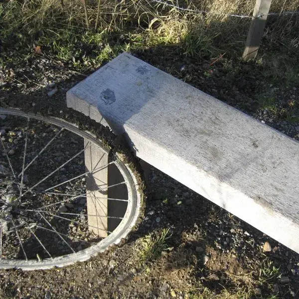 Bench.webp