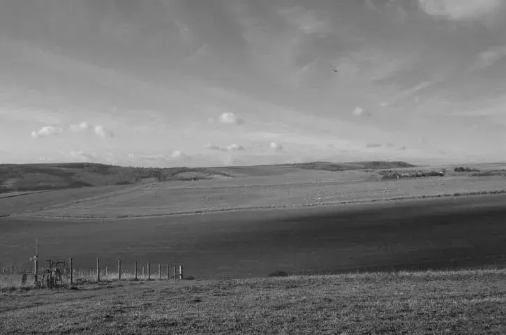 Hills2.webp