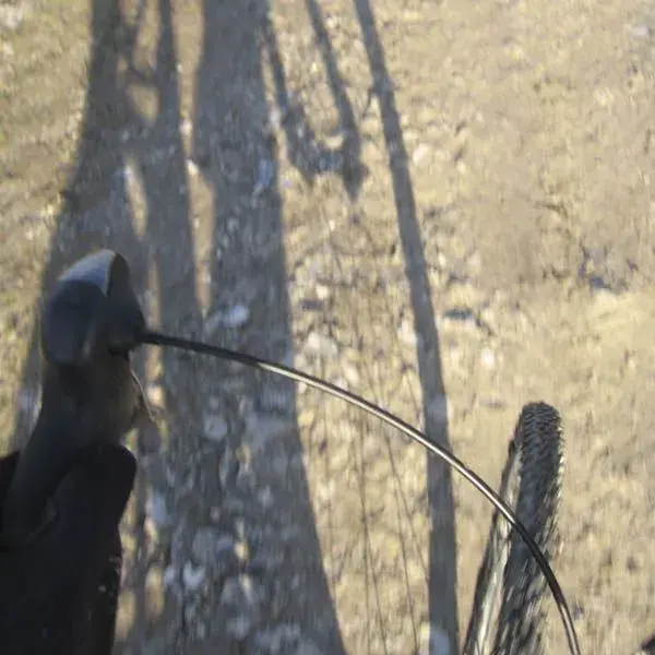 Wheel.webp