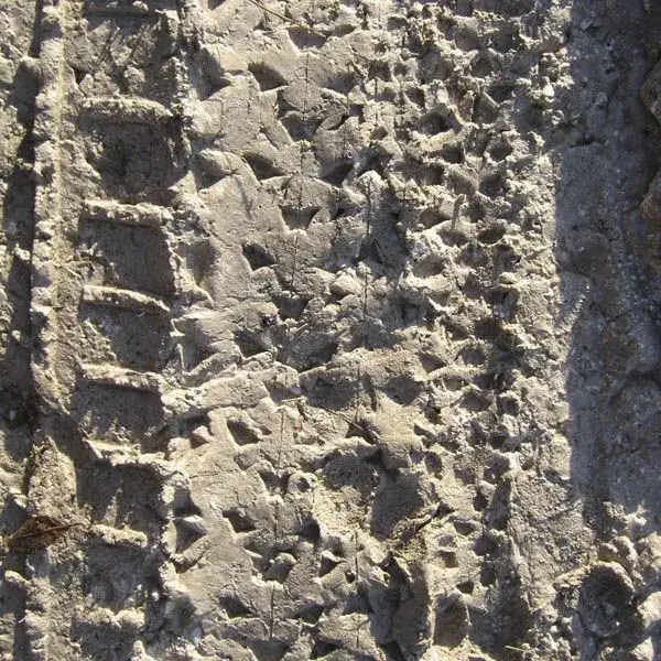 Tracks.webp