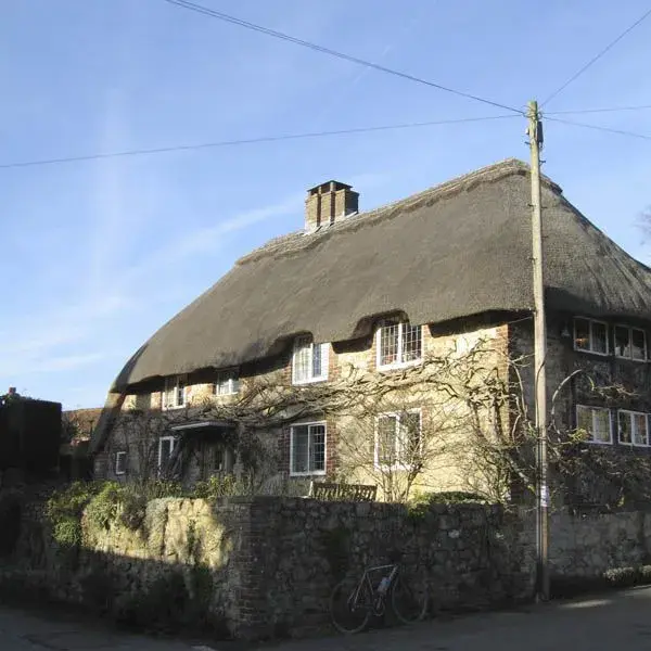 Thatch.webp