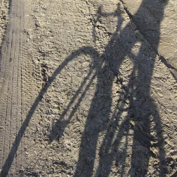 Shadow2.webp