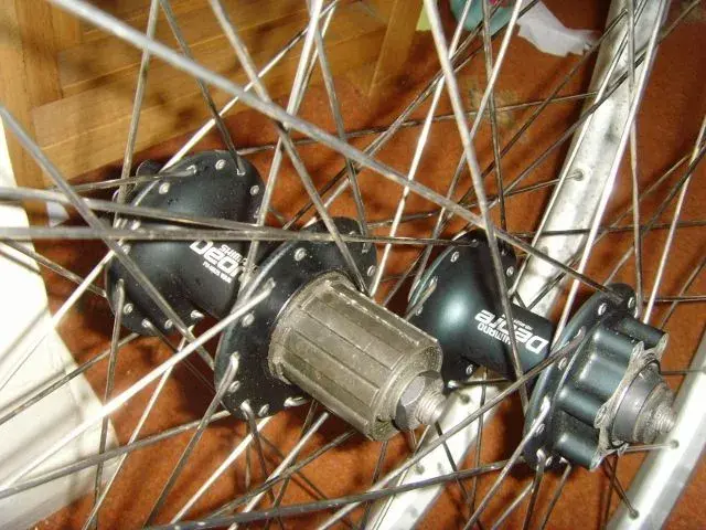 SNV36158 (640x480).webp