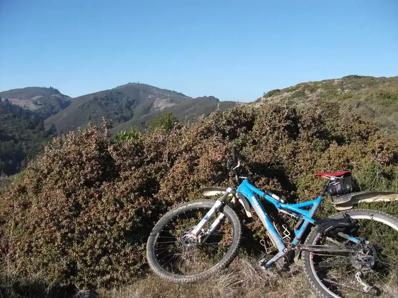 Pine Mountain.webp