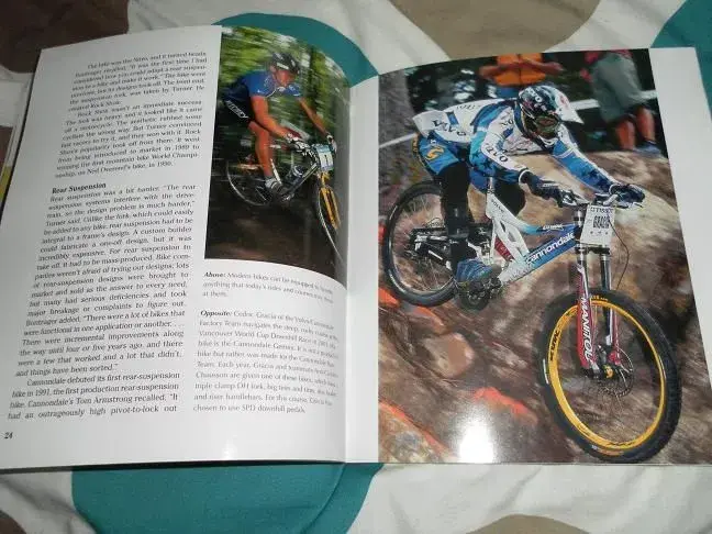 Book 4.webp