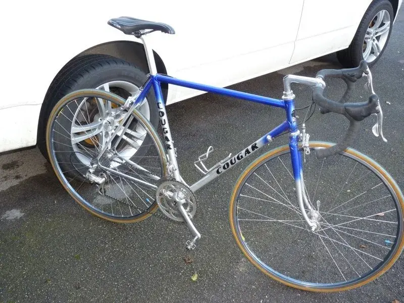 cougar veloce.webp