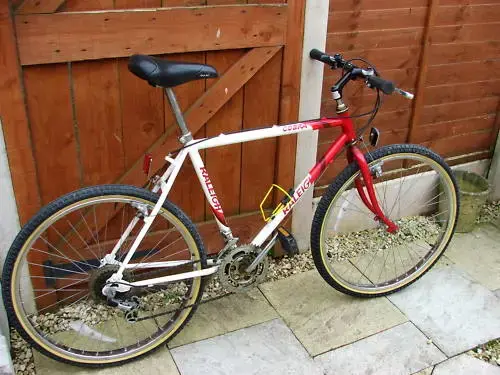 my raleigh.webp