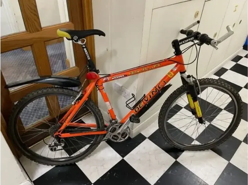 Devinci 1.webp