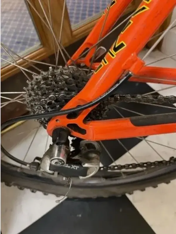 devinci 4.webp