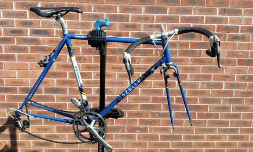 gazelle2.webp