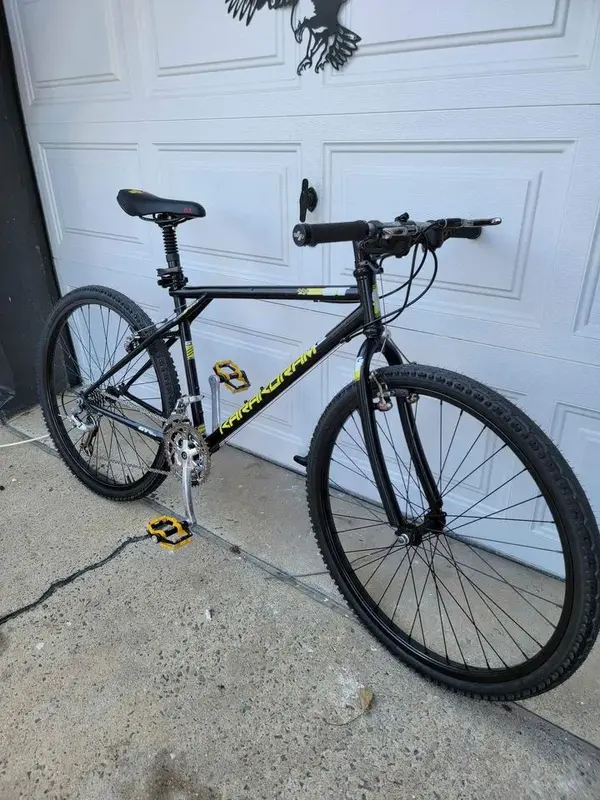 4618577Fake Karakoram frontside view.webp
