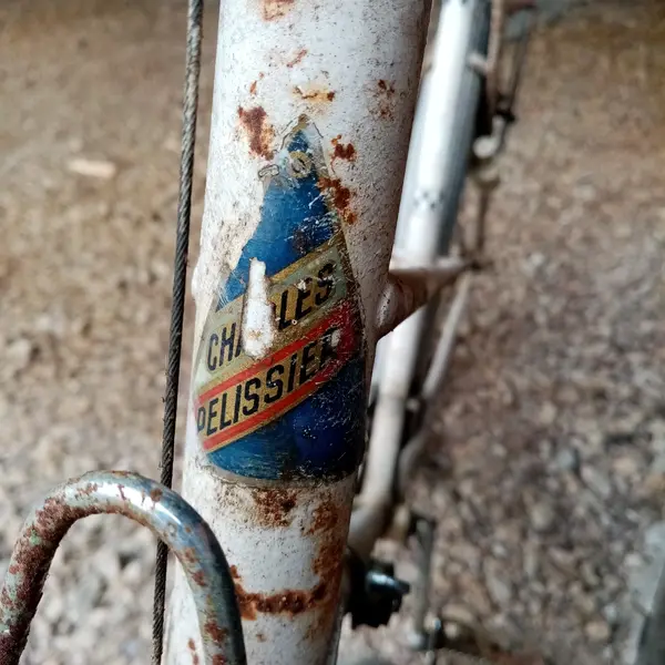pellissier11.jpeg