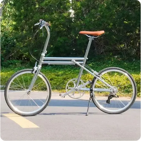 Minivelo2.jpg