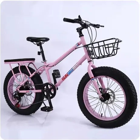 Minivelo2.webp
