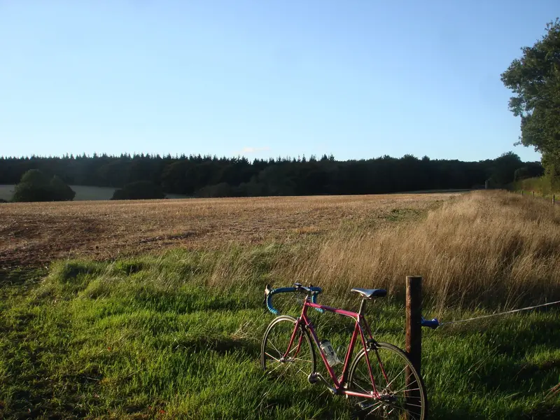 DSC01315.webp