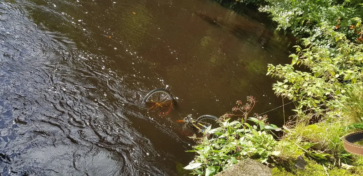 Kula in River.webp